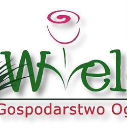 Gospodarstwo Ogrodnicze Wielgat, Wola Zambrowska godziny otwarcia