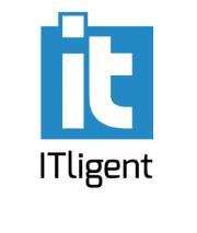 ITligent Group Sp. z o.o., Warszawa godziny otwarcia