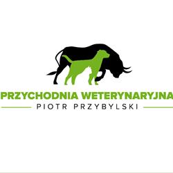 Przychodnia Weterynaryjna Piotr Przybylski, Izbica Kujawska godziny otwarcia
