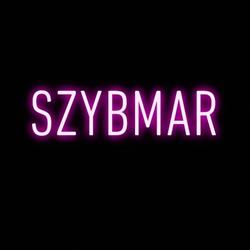Auto szyby SZYBMar, Wieluń godziny otwarcia