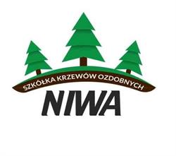 Szkółka Drzew i Krzewów Ozdobnych Niwa, Nowy Targ godziny otwarcia
