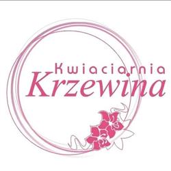 Kwiaciarnia Krzewina, Pniewy godziny otwarcia