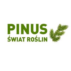 Świat roślin PINUS, Gdynia godziny otwarcia