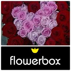 Flowerbox - kwiaciarnia, obsługa wesel, kwiaty w pudełkach, Wałbrzych godziny otwarcia