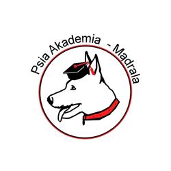Psia Akademia Mądrala - Szkolenia psów, Nowy Lubusz godziny otwarcia