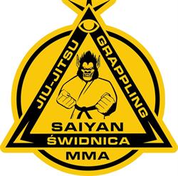 Saiyan Świdnica MMA, godziny otwarcia