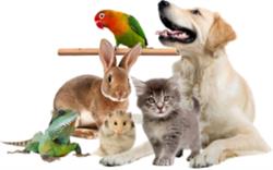 P. H Smykus sklep zoologiczno-wędkarski, Tarczyn godziny otwarcia