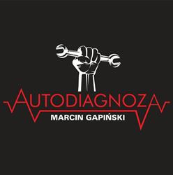 AUTODIAGNOZA MARCIN GAPIŃSKI, Płock godziny otwarcia