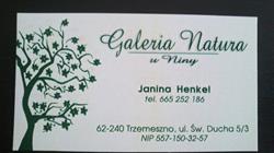 Galeria Natura u Niny, Trzemeszno godziny otwarcia