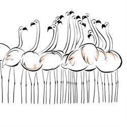 Dentysta Mrzezino (Sanus Dentes), godziny otwarcia