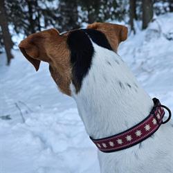 Mailo, Zakopane godziny otwarcia