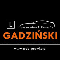 Nauka jazdy Gadziński Jarocin, godziny otwarcia