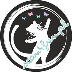 Scan4fun.pl, Międzyrzecz godziny otwarcia