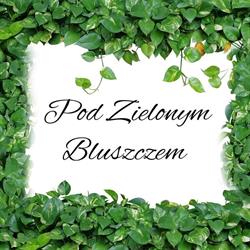 Sala Weselna Pod Zielonym Bluszczem, Strzelin godziny otwarcia