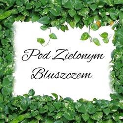 Sala Weselna Pod Zielonym Bluszczem, Strzelin godziny otwarcia