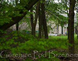 Agroturystyka Gorenice Pod Brzeziem, godziny otwarcia