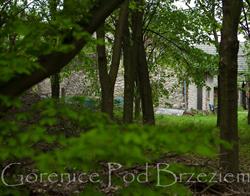 Agroturystyka Gorenice Pod Brzeziem, godziny otwarcia