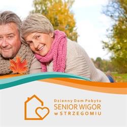 Dzienny Dom Pobytu "Senior-Wigor", Strzegom godziny otwarcia