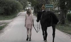 Stadnina koni STANGRETKA, Przybyłowo godziny otwarcia
