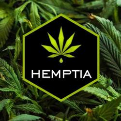 Cannabis Shop - HEMPTIA, Kraków godziny otwarcia