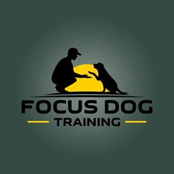 Focus Dog Training, Kuźnica Lechowa godziny otwarcia