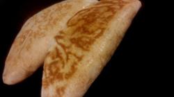 Ugarit Grill Kebab, Warszawa godziny otwarcia