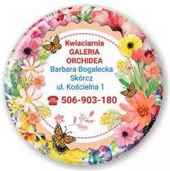 Galeria Orchidea, Skórcz godziny otwarcia
