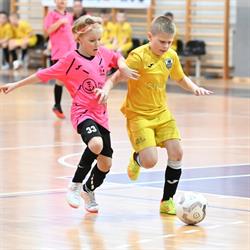 Hala widowiskowo-sportowa, Bojano godziny otwarcia