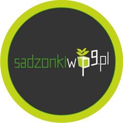 Gospodarstwo Szkółkarskie Karolina Piaseczna sadzonkiwp9.pl, Końskowola godziny otwarcia