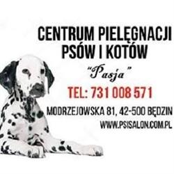 PSIA PASJA Centrum Pielęgnacji Psów i Kotów, Hotel dla kotów, Będzin godziny otwarcia