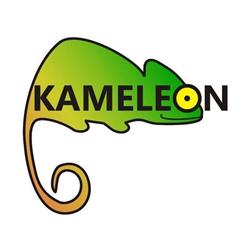 Kameleon Przychodnia Weterynaryjna, Łódź godziny otwarcia