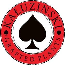 KAŁUZIŃSKI GRAFTD PLANTS, Szadek godziny otwarcia