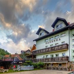 Willa Sarenka, Krynica-Zdrój godziny otwarcia