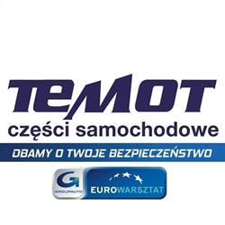 STACJA KONTROLI POJAZDÓW TEMOT, Ostrów Wielkopolski godziny otwarcia