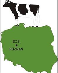 Przedsiębiorstwo Bis, Pępowo godziny otwarcia
