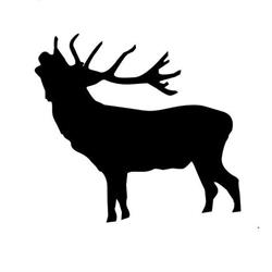 4Hunting Sklep Myśliwski, Odzież Myśliwska, Bydgoszcz godziny otwarcia