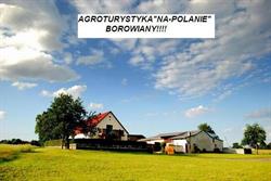 Gospodarstwo Agroturystyczne Na Polanie, Borowiany godziny otwarcia
