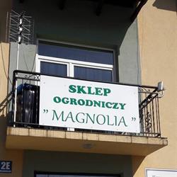 Magnolia, Ustrzyki Dolne godziny otwarcia