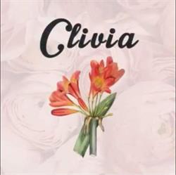 Kwiaciarnia Clivia, Jedlnia-Letnisko godziny otwarcia