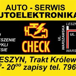 Autoelektronika, Wojcieszyn godziny otwarcia