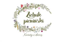 Kwiaciarnia Zielnik Pieniński, Szczawnica godziny otwarcia
