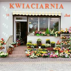 Kwiaciarnia "U Eli", Małogoszcz godziny otwarcia