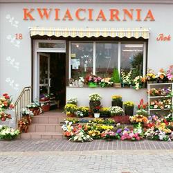 Kwiaciarnia "U Eli", Małogoszcz godziny otwarcia