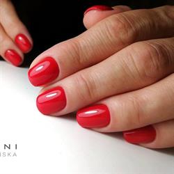 Mani Ani Anna Damińska, Łomna godziny otwarcia