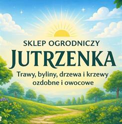 Szkółka Winorośli i truskawek Jutrzenka, Węgorza godziny otwarcia