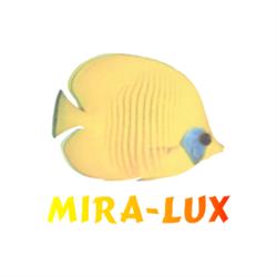 Mira-Lux International Ltd., Klaudyn godziny otwarcia