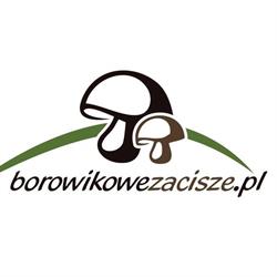 Borowikowe Zacisze - Domki Drewniane, Falsztyn godziny otwarcia