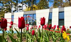 Biuro ds. Osób Niepełnosprawnych PŁ, Łódź godziny otwarcia