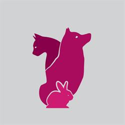 Gabinet Weterynaryjny ,,Praska Przykotnia", Warszawa godziny otwarcia