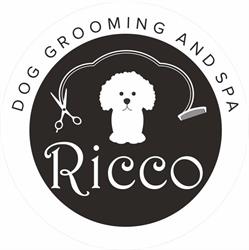 Salon groomerski Ricco, Piła godziny otwarcia